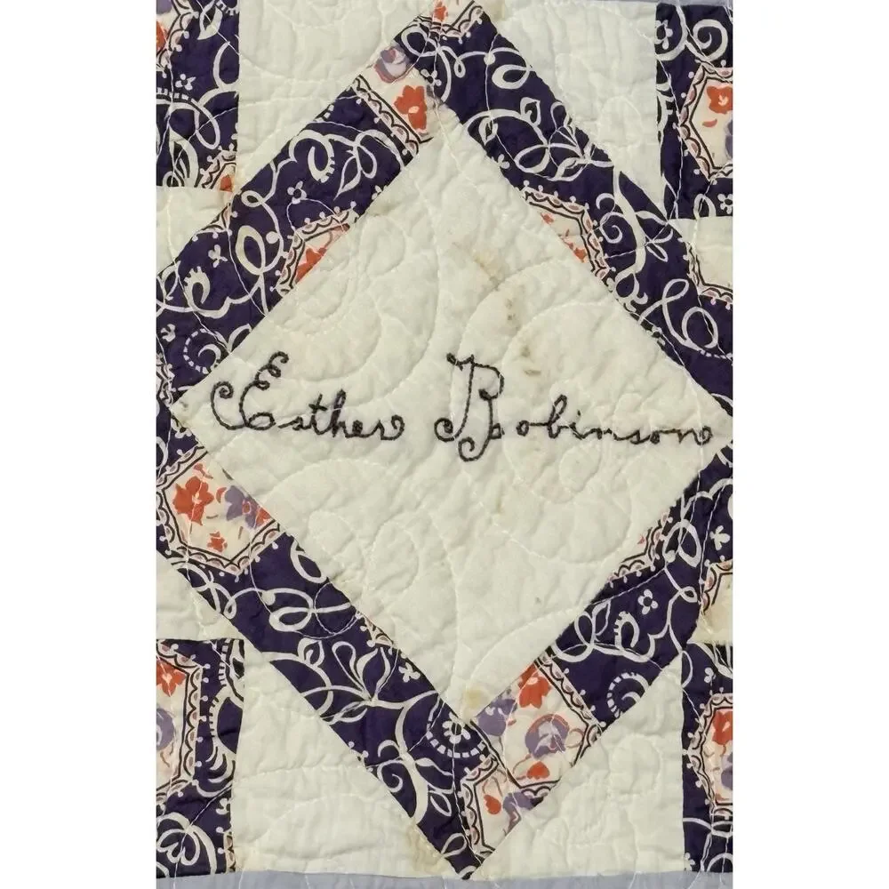 1930s Depression Era Signed Friendship Quilt Willing Workers Club Found In Texas